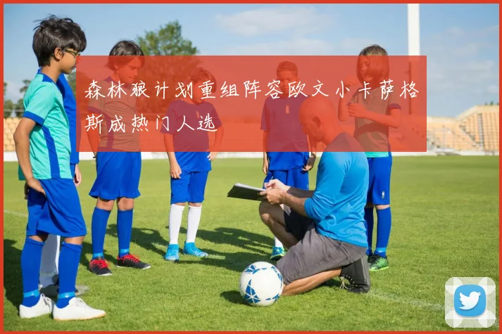 森林狼计划重组阵容欧文小卡萨格斯成热门人选