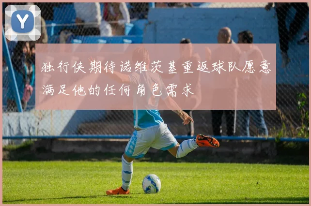 独行侠期待诺维茨基重返球队愿意满足他的任何角色需求